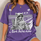 Funny raccoon stadium popcorn PNG, mockup 2